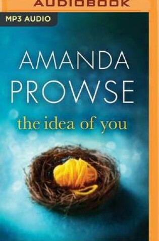 Cover of The Idea of You