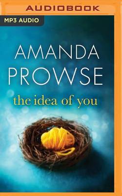 Book cover for The Idea of You