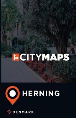 Book cover for City Maps Herning Denmark