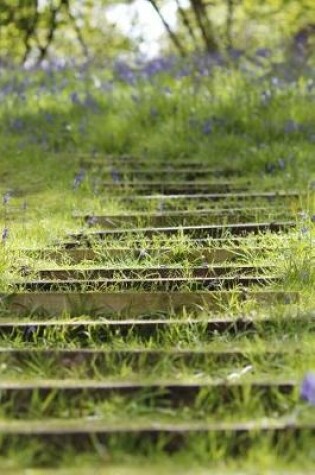 Cover of Grass Growing on Stone Steps on a Hill in Scotland Journal