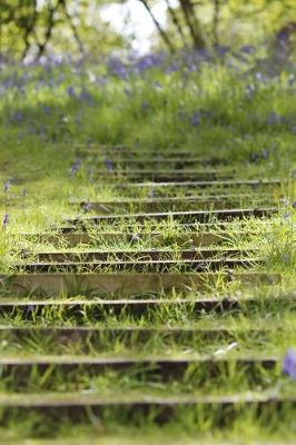 Book cover for Grass Growing on Stone Steps on a Hill in Scotland Journal