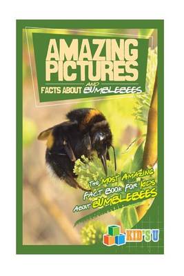 Book cover for Amazing Pictures and Facts about Bumblebees
