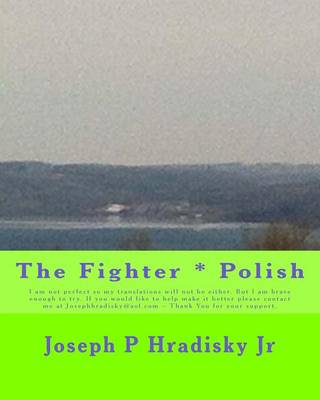 Book cover for The Fighter * Polish