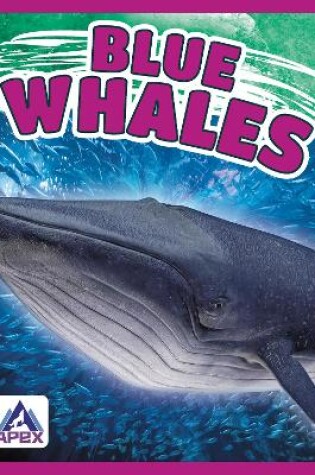 Cover of Blue Whales