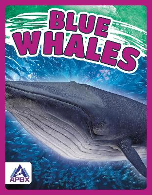 Book cover for Blue Whales