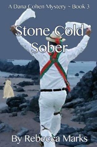 Cover of Stone Cold Sober