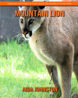 Book cover for Mountain Lion