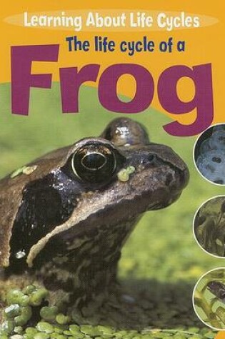 Cover of The Life Cycle of a Frog