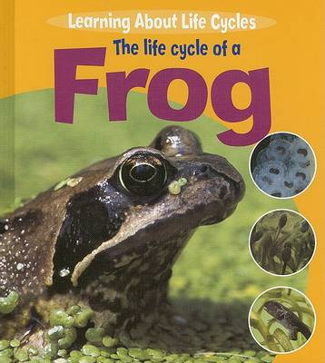 Cover of The Life Cycle of a Frog