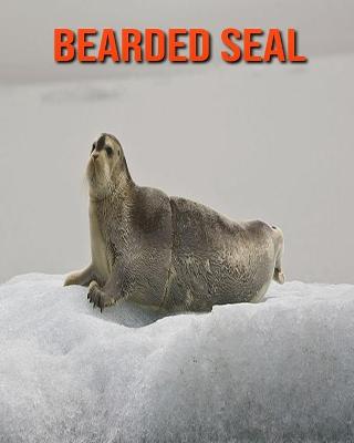 Book cover for Bearded Seal