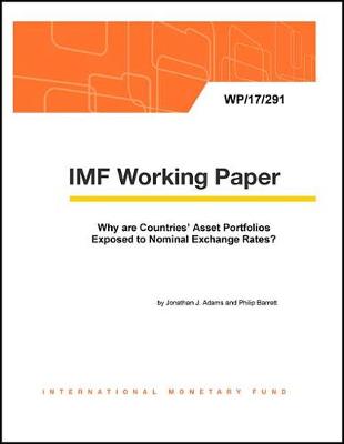 Book cover for Why Are Countries' Asset Portfolios Exposed to Nominal Exchange Rates?