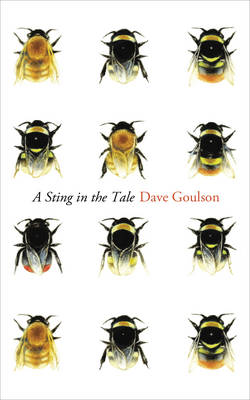 Book cover for A Sting in the Tale