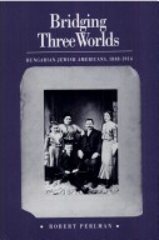 Cover of Bridging Three Worlds