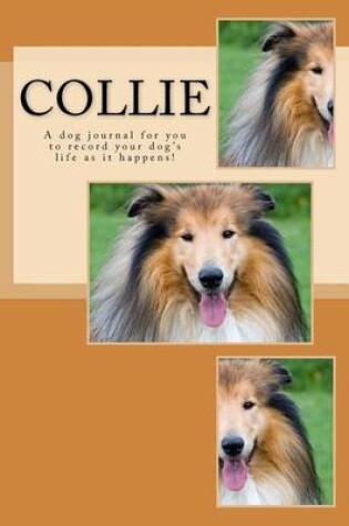 Cover of Collie