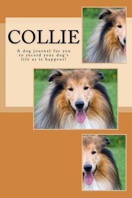 Book cover for Collie