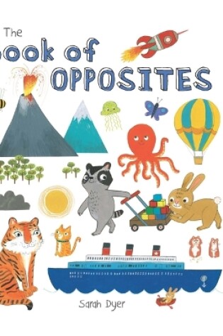 Cover of The Book of Opposites