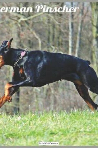 Cover of Doberman Pinscher 2021 Wall Calendar