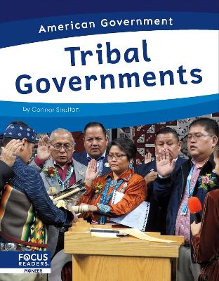 Book cover for Tribal Governments