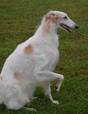 Book cover for Borzoi Dog Training Journal