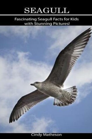 Cover of Seagull