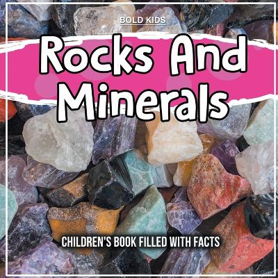 Book cover for Rocks And Minerals