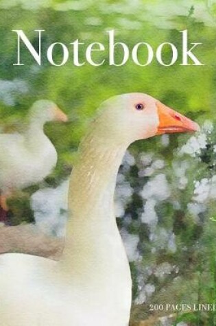 Cover of Notebook