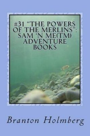 Cover of "The Powers of the Merlins"
