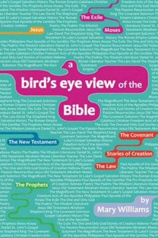 Cover of A Bird's-eye View of the Bible