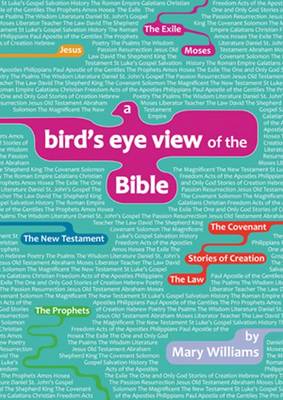 Book cover for A Bird's-eye View of the Bible