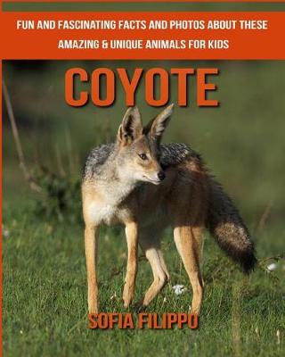 Book cover for Coyote