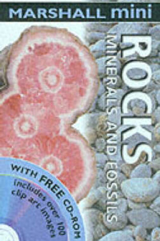 Cover of Rocks and Fossils