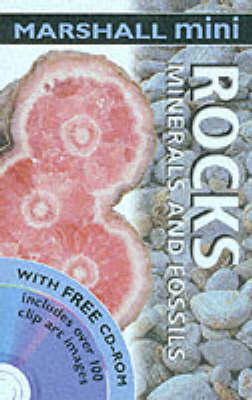 Cover of Rocks and Fossils