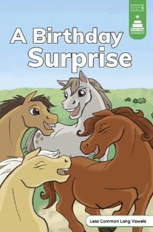 Cover of A Birthday Surprise