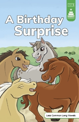 Cover of A Birthday Surprise