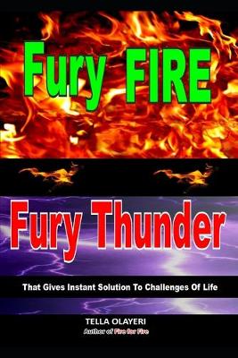 Book cover for Fury Fire Fury Thunder