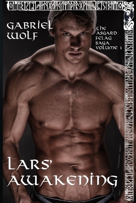 Book cover for Lars' Awakening