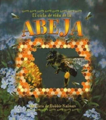 Book cover for El Ciclo de Vida de Abeja