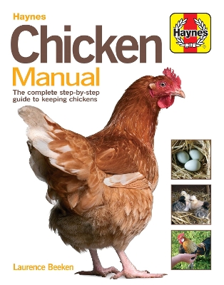 Book cover for Chicken Manual