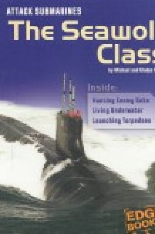 Cover of Attack Submarines