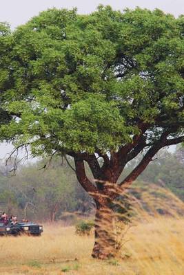 Book cover for A Safari Group Passing Below a Massive Tree on the African Veldt