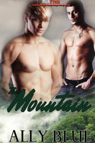 Cover of The Mountain