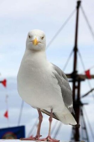 Cover of Seagull and a Boat, Birds of the World