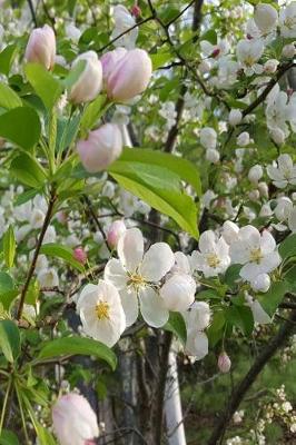 Cover of Springtime Journal Pretty Flowering Tree