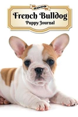 Book cover for 2020 French Bulldog Puppy Journal