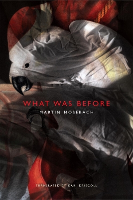 Cover of What was Before