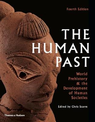 Book cover for The Human Past