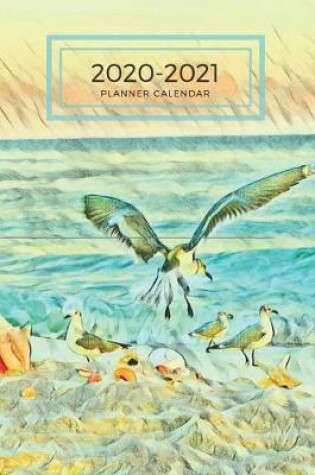 Cover of Teal Blue Sea Shells and Gulls Dated Calendar Planner 2 years To-Do Lists, Tasks, Notes Appointments