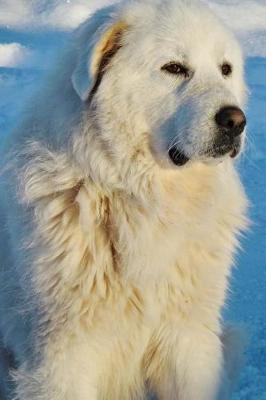 Book cover for Handsome Great Pyrenees Dog Journal