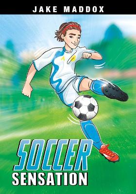 Book cover for Soccer Sensation