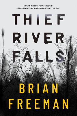 Book cover for Thief River Falls